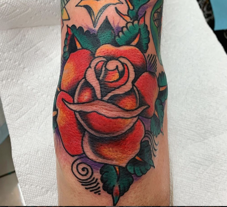 Traditional Rose